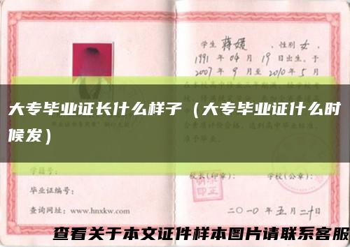 大专毕业证长什么样子（大专毕业证什么时候发）缩略图