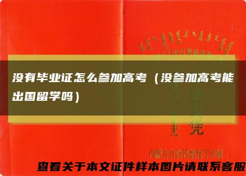 没有毕业证怎么参加高考（没参加高考能出国留学吗）缩略图
