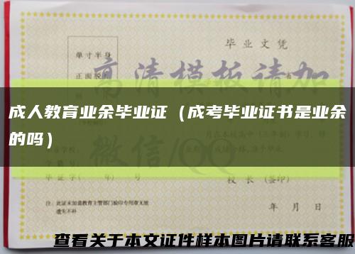 成人教育业余毕业证（成考毕业证书是业余的吗）缩略图