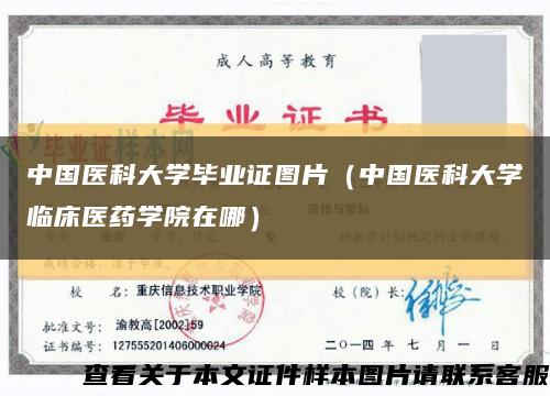 中国医科大学毕业证图片（中国医科大学临床医药学院在哪）缩略图