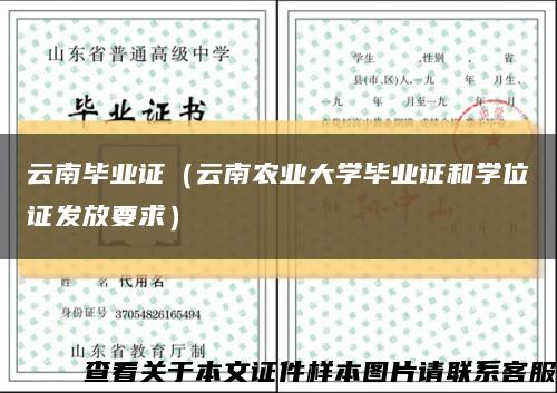 云南毕业证（云南农业大学毕业证和学位证发放要求）缩略图