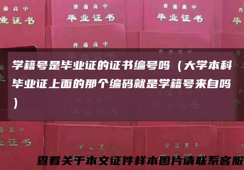 学籍号是毕业证的证书编号吗（大学本科毕业证上面的那个编码就是学籍号来自吗）缩略图
