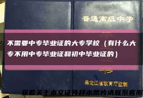 不需要中专毕业证的大专学校（有什么大专不用中专毕业证和初中毕业证的）缩略图