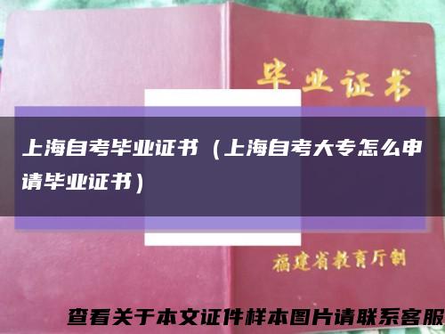 上海自考毕业证书（上海自考大专怎么申请毕业证书）缩略图