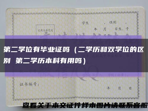 第二学位有毕业证吗（二学历和双学位的区别 第二学历本科有用吗）缩略图