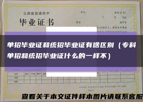 单招毕业证和统招毕业证有啥区别（专科单招和统招毕业证什么的一样不）缩略图