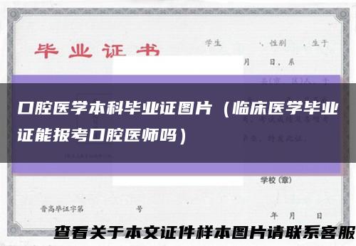 口腔医学本科毕业证图片（临床医学毕业证能报考口腔医师吗）缩略图