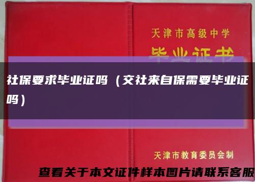 社保要求毕业证吗（交社来自保需要毕业证吗）缩略图