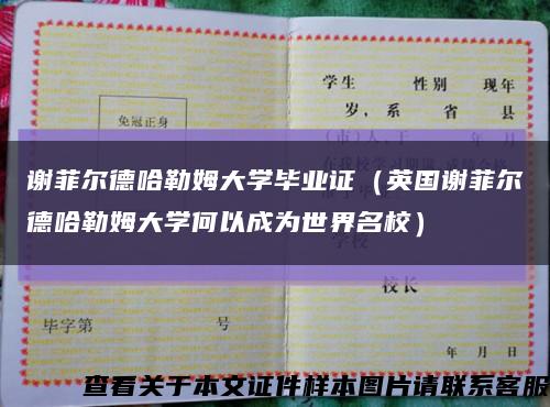 谢菲尔德哈勒姆大学毕业证（英国谢菲尔德哈勒姆大学何以成为世界名校）缩略图