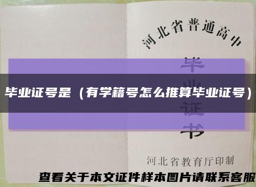 毕业证号是（有学籍号怎么推算毕业证号）缩略图