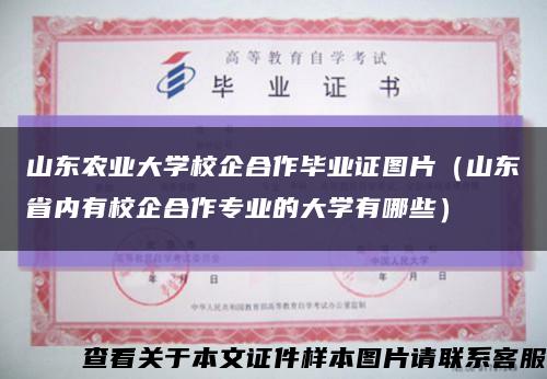 山东农业大学校企合作毕业证图片（山东省内有校企合作专业的大学有哪些）缩略图