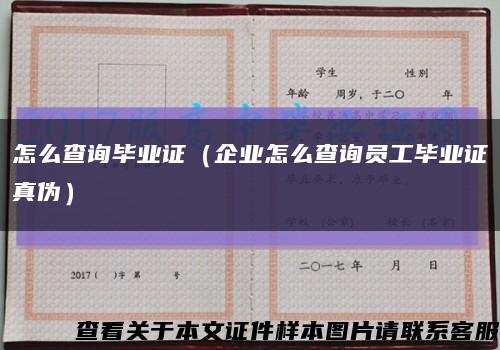怎么查询毕业证（企业怎么查询员工毕业证真伪）缩略图