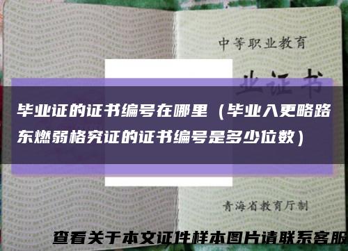 毕业证的证书编号在哪里（毕业入更略路东燃弱格究证的证书编号是多少位数）缩略图