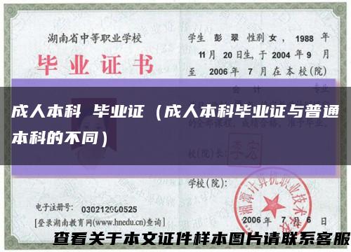 成人本科 毕业证（成人本科毕业证与普通本科的不同）缩略图