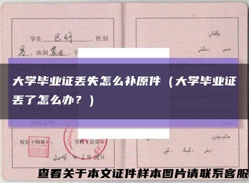 大学毕业证丢失怎么补原件（大学毕业证丢了怎么办？）缩略图