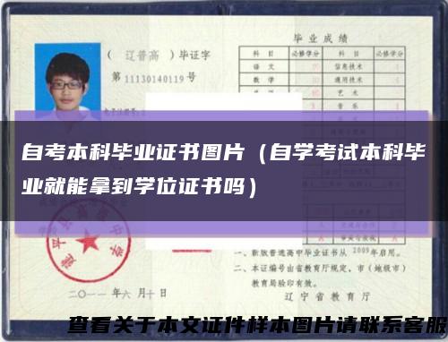 自考本科毕业证书图片（自学考试本科毕业就能拿到学位证书吗）缩略图
