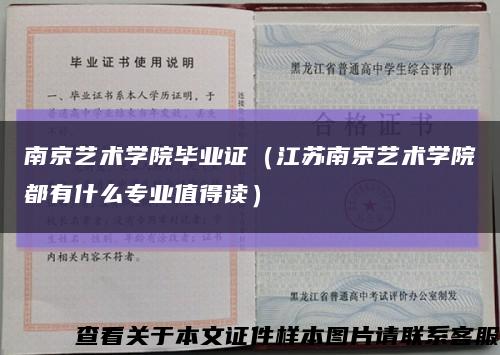 南京艺术学院毕业证（江苏南京艺术学院都有什么专业值得读）缩略图