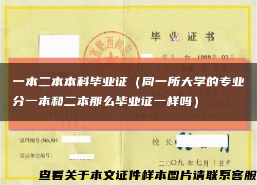 一本二本本科毕业证（同一所大学的专业分一本和二本那么毕业证一样吗）缩略图