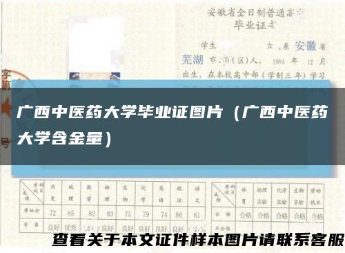 广西中医药大学毕业证图片（广西中医药大学含金量）缩略图