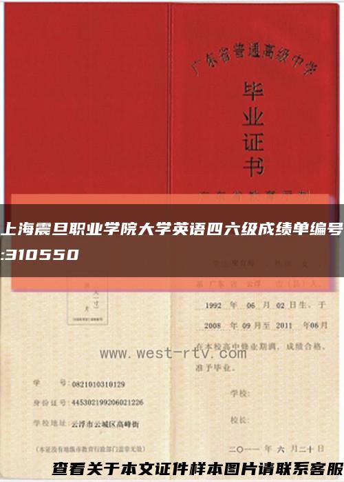 上海震旦职业学院大学英语四六级成绩单编号:310550缩略图