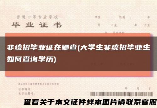 非统招毕业证在哪查(大学生非统招毕业生如何查询学历)缩略图