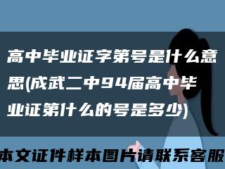 高中毕业证字第号是什么意思(成武二中94届高中毕业证第什么的号是多少)缩略图