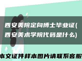西安美院定向博士毕业证(西安美术学院代码是什么)缩略图