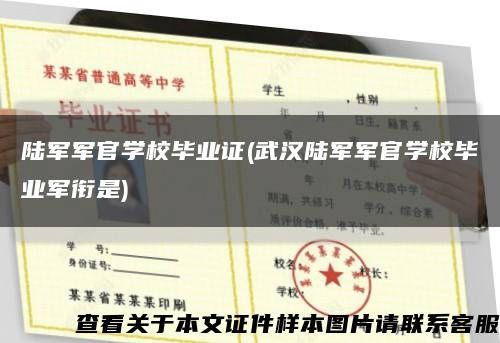 陆军军官学校毕业证(武汉陆军军官学校毕业军衔是)缩略图