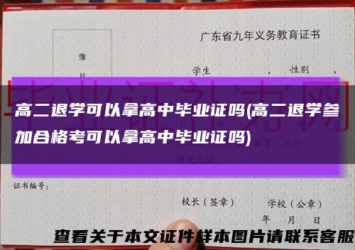 高二退学可以拿高中毕业证吗(高二退学参加合格考可以拿高中毕业证吗)缩略图