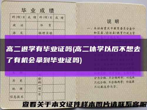 高二退学有毕业证吗(高二休学以后不想去了有机会拿到毕业证吗)缩略图