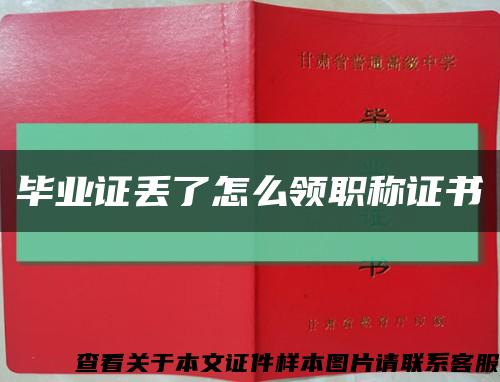 毕业证丢了怎么领职称证书缩略图