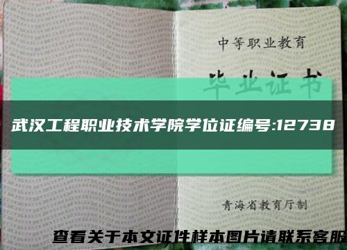 武汉工程职业技术学院学位证编号:12738缩略图