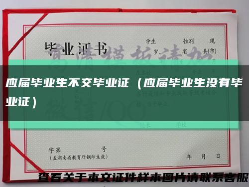 应届毕业生不交毕业证（应届毕业生没有毕业证）缩略图