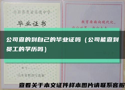 公司查的到自己的毕业证吗（公司能查到员工的学历吗）缩略图
