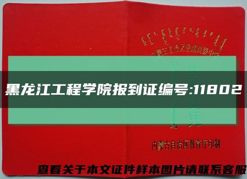 黑龙江工程学院报到证编号:11802缩略图