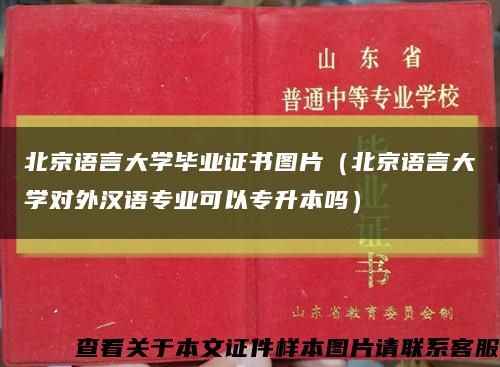 北京语言大学毕业证书图片（北京语言大学对外汉语专业可以专升本吗）缩略图