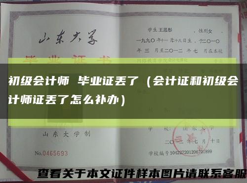初级会计师 毕业证丢了（会计证和初级会计师证丢了怎么补办）缩略图
