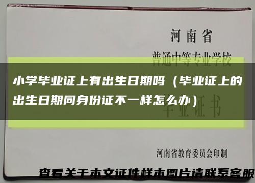 小学毕业证上有出生日期吗（毕业证上的出生日期同身份证不一样怎么办）缩略图