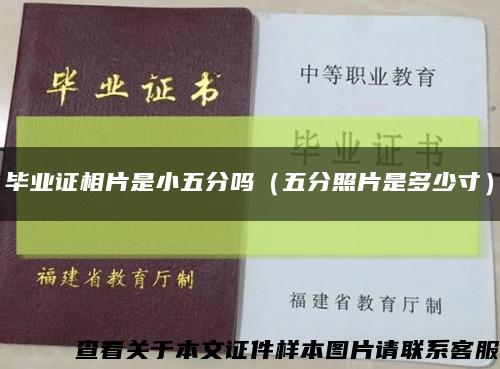 毕业证相片是小五分吗（五分照片是多少寸）缩略图