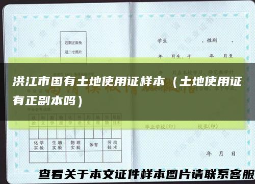 洪江市国有土地使用证样本（土地使用证有正副本吗）缩略图