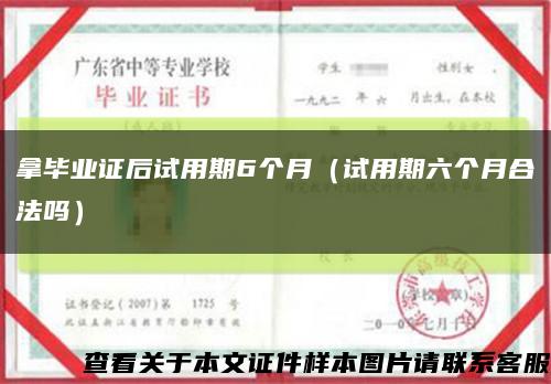 拿毕业证后试用期6个月（试用期六个月合法吗）缩略图