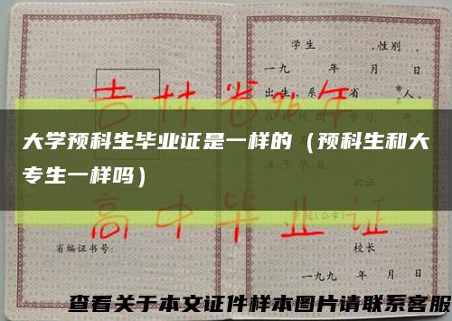 大学预科生毕业证是一样的（预科生和大专生一样吗）缩略图