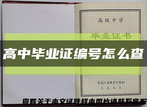 高中毕业证编号怎么查缩略图