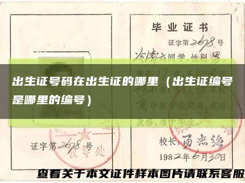 出生证号码在出生证的哪里（出生证编号是哪里的编号）缩略图