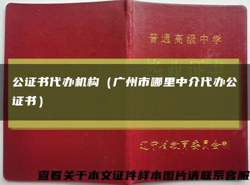 公证书代办机构（广州市哪里中介代办公证书）缩略图