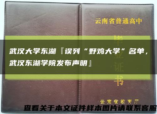武汉大学东湖『误列“野鸡大学”名单，武汉东湖学院发布声明』缩略图