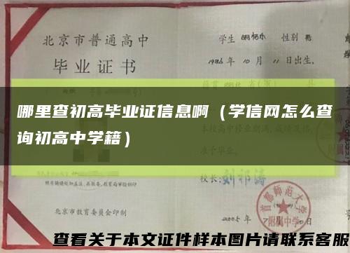 哪里查初高毕业证信息啊（学信网怎么查询初高中学籍）缩略图