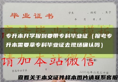 专升本开学报到要带专科毕业证（报考专升本需要拿专科毕业证去现场确认吗）缩略图