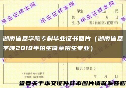 湖南信息学院专科毕业证书图片（湖南信息学院2019年招生简章招生专业）缩略图