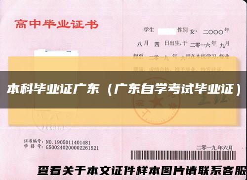 本科毕业证广东（广东自学考试毕业证）缩略图